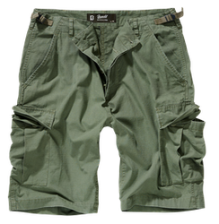 Brandit BDU RipStop Shorts, Olive (2019.1)