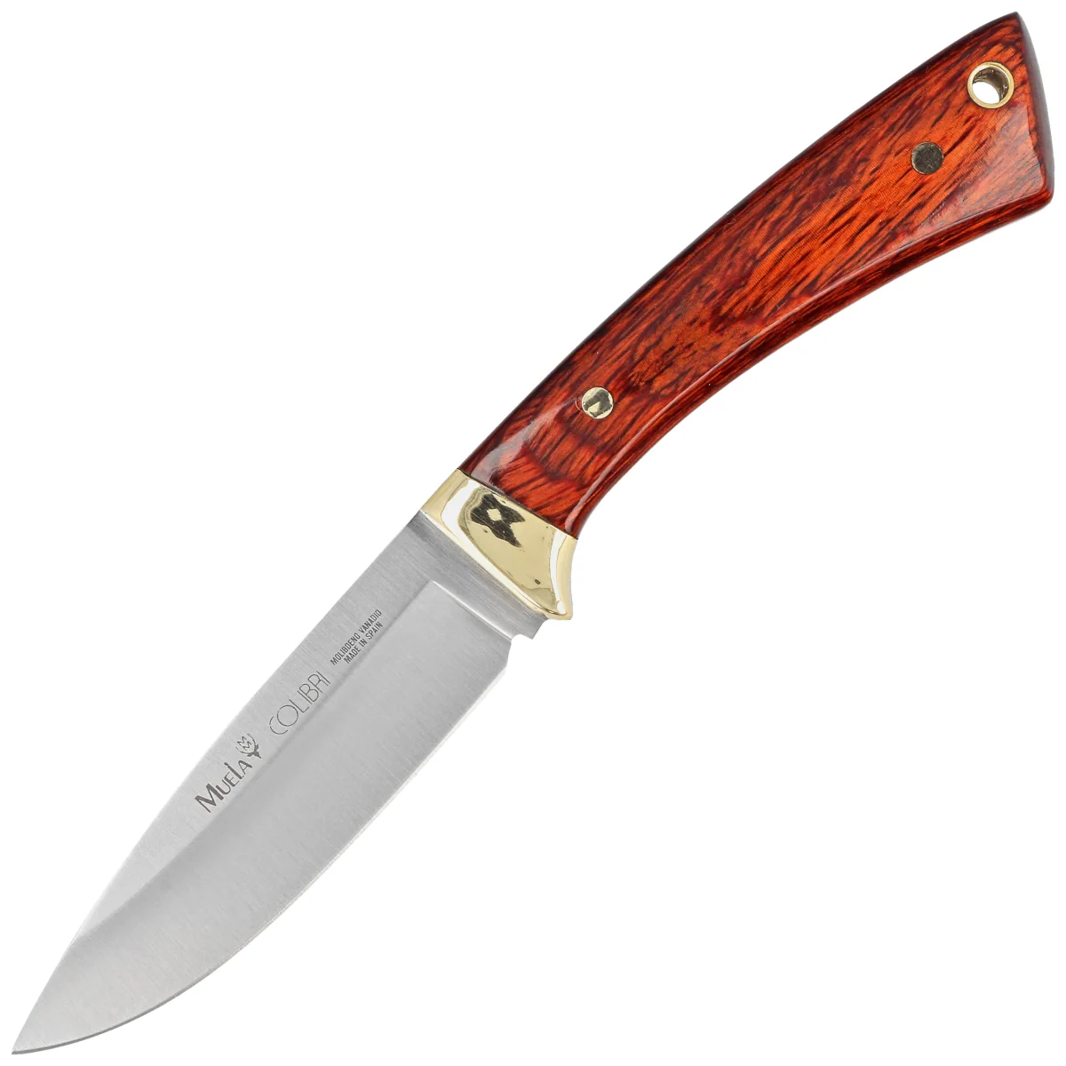 Muela Colibri COL-9M Pakka Wood, Satin X50CrMoV15 Knife