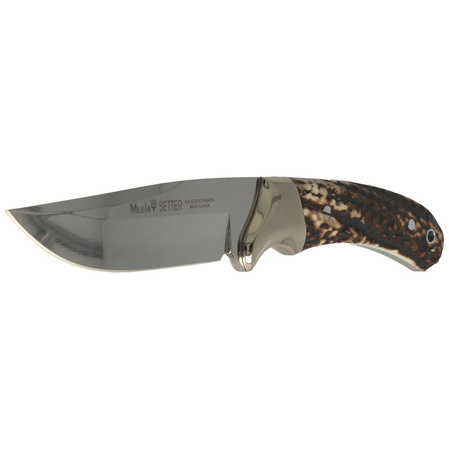 Muela Full Tang Knife with Dear Stag, Mirror 1.4116 (SETTER-11A)