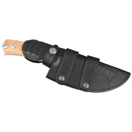 Fox Oxylos Olive Wood, Satin Becut Knife (FX-616 OL)