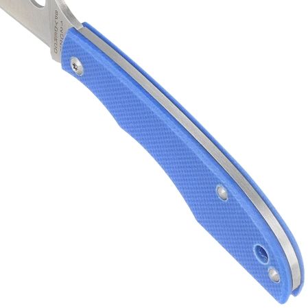Nóż składany Spyderco Grasshopper Blue G10, Satin 12C27 (C138GBLP)