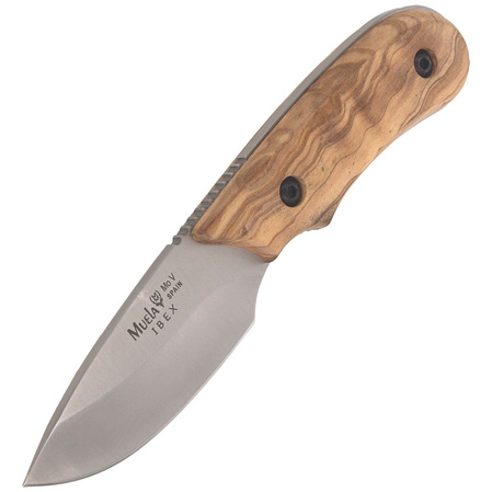 Nóż Muela Full Tang Olive Wood, Satin X50CrMoV15 (IBEX-8.OL)