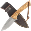 Muela Colibri COL-9.OL Knife Olive Wood, Satin X50CrMoV15