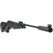 Voltran Ekol Thunder Black air rifle
