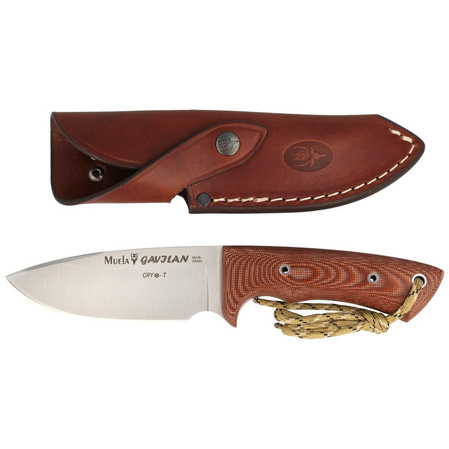 Muela Knife Full Tang Brown Canvas Micarta, Satin 1.4116 CRYO-T (GAVILAN C)