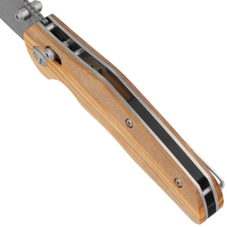 Bestechman Knife Ronan Olivewood, Damascus (BMK02M)