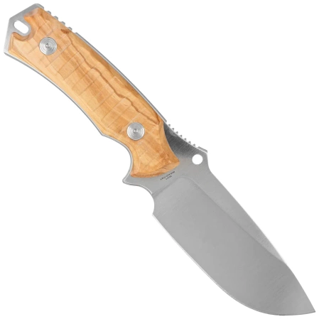 Fox Oxylos Olive Wood, Satin Becut Knife (FX-616 OL)