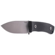LionSteel G10 Black / Fixed Satin Blade (M4 G10)
