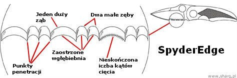 Nóż składany Spyderco Hawkbill Byrd FRN Black, Spyder (BY22SBK)
