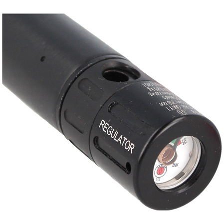 Hatsan PCP Airgun with Regulator (AT44-10 RG)