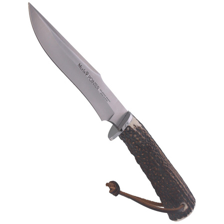 Nóż Muela Deer Stag, Satin X50CrMoV15 (POINTER-13A)