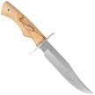 Muela CAZ-16.OL Olive Wood Knife, Satin X50CrMoV15