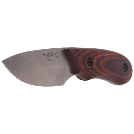 Muela Full Tang Pakkawood, Satin X50CrMoV15 (IBEX-8R)