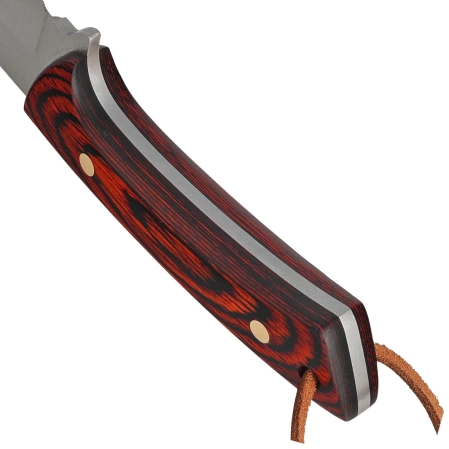 Nóż Muela Colibri COL-9.R Coral Pakka Wood, Satin X50CrMoV15