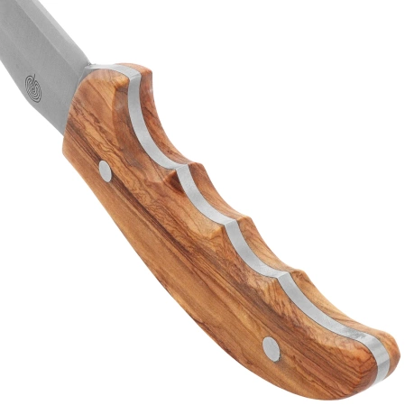 Muela Outdoor-12.OL Knife Olive Wood, Satin X50CrMoV15