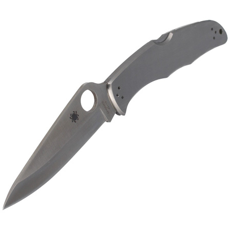 Spyderco Endura 4 Stainless Steel PlainEdge Knife (C10P)